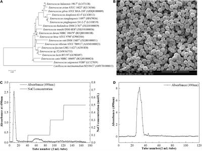 Frontiers | Characterization of Structural and Physicochemical 